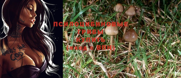 таблы Армянск