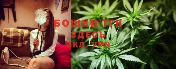 экстази Арсеньев